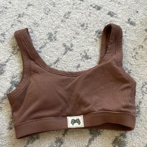 Darc wolves sport brown bra paddded